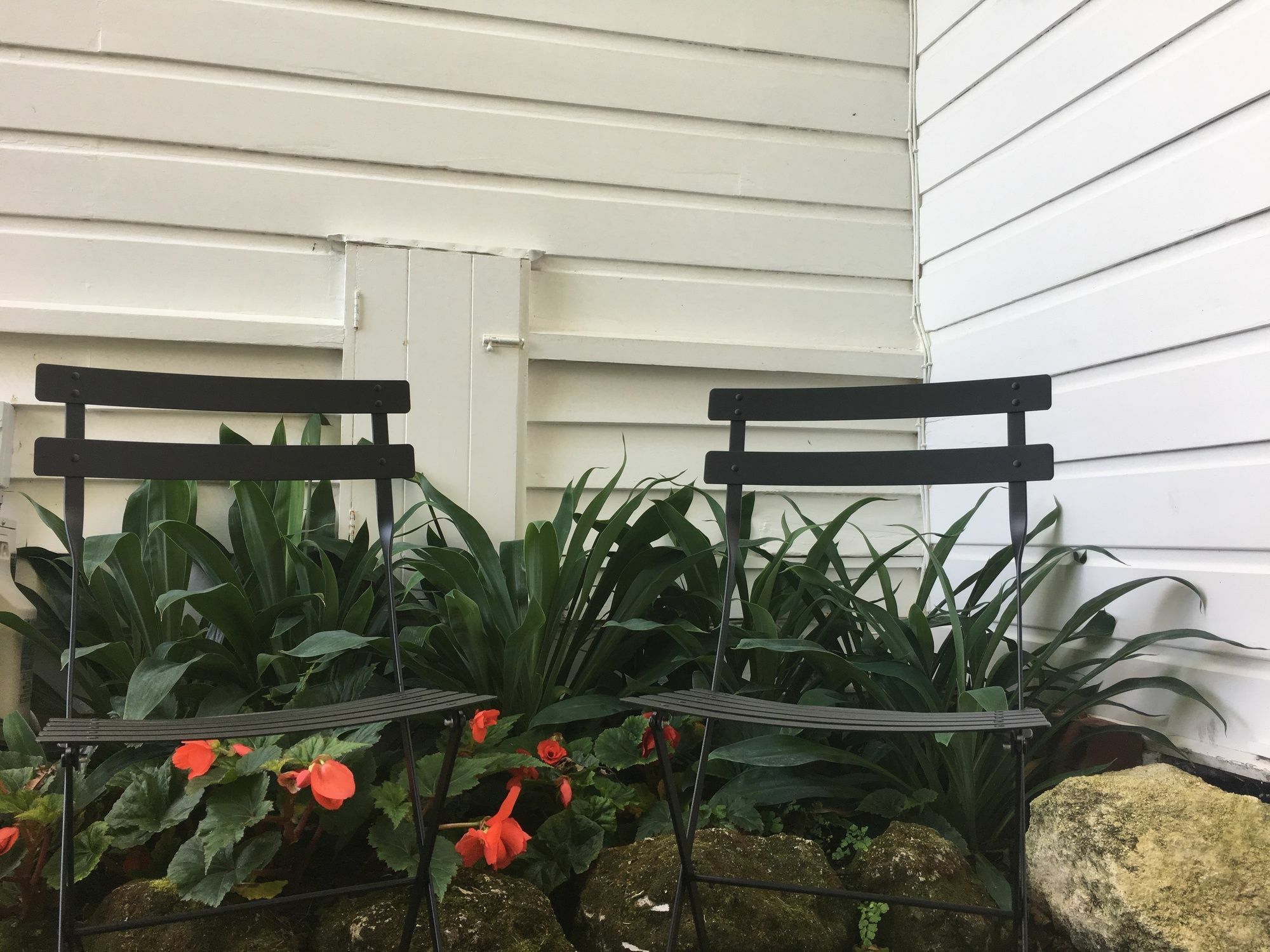 Aylstone Martinborough Hotel Exterior photo